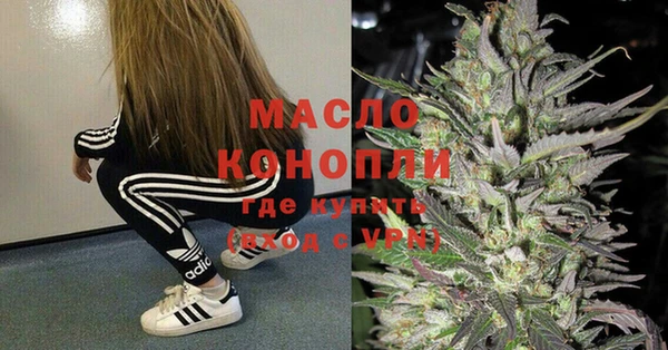 дмт Горняк