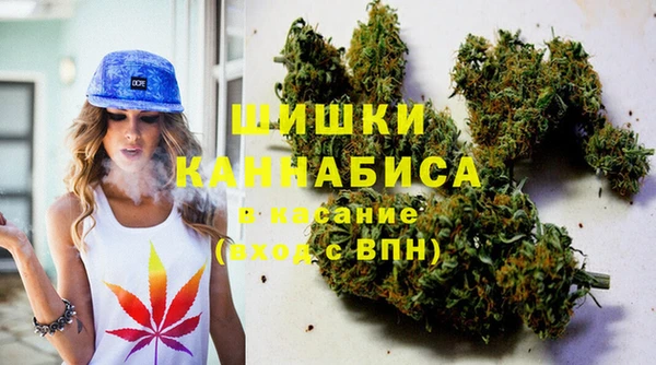 мдпв Горнозаводск