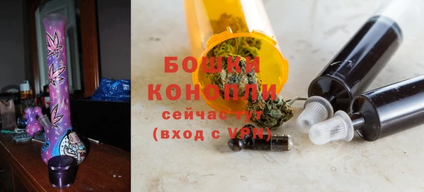 мдпв Горно-Алтайск