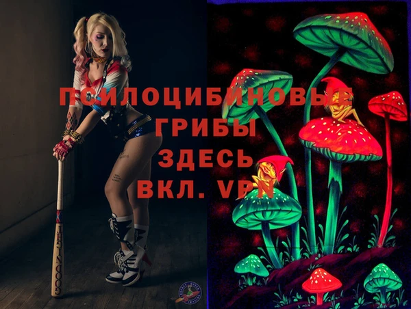 дмт Горняк