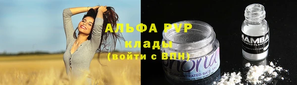 мдпв Горно-Алтайск