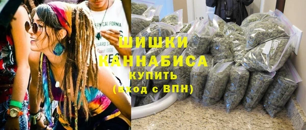 мдпв Горнозаводск
