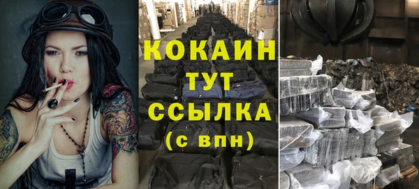 мдпв Горнозаводск