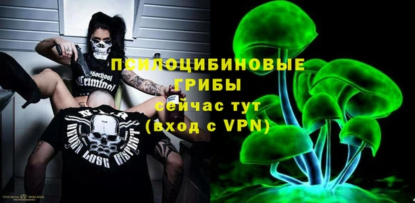 дмт Горняк