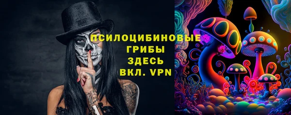мдпв Горнозаводск